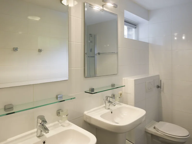 goudplevier sauna plus in waterpark zwartkruis in noardburgum badkamer