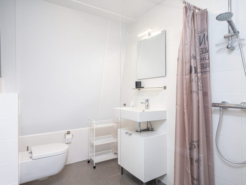 vakantiehuis 6 personen in tusken de marren badkamer