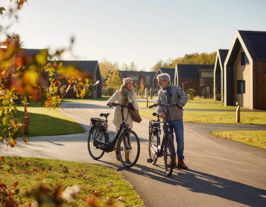Lekker fietsen in de omgeving van vakantiepark brinckerduyn in friesland