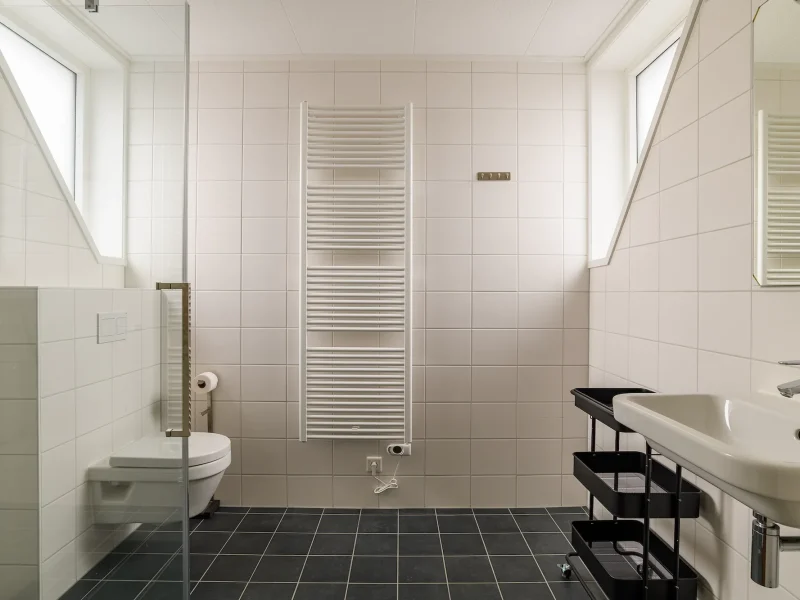 waterpark langelille in langelille watervilla brandemeer badkamer